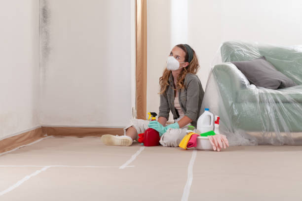 Reliable Mold Cleanup contractor in Roanoke, TX by Cheap Mold Removal